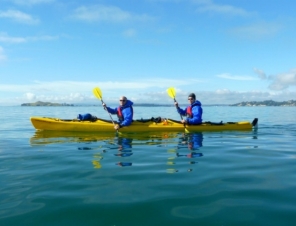 Auckland Kayak tour to Motukorea Island for Cruise Ship Passengers 3